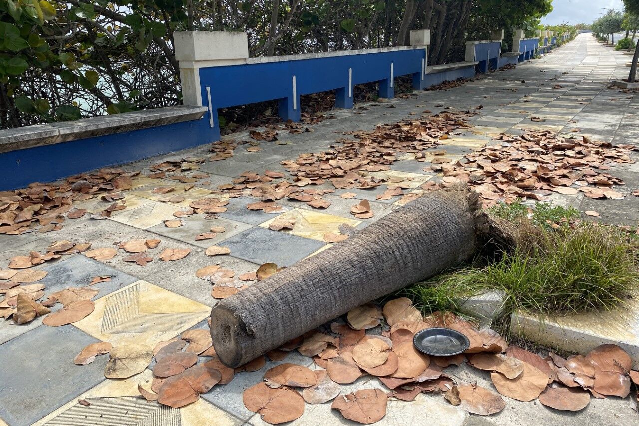 malecón
